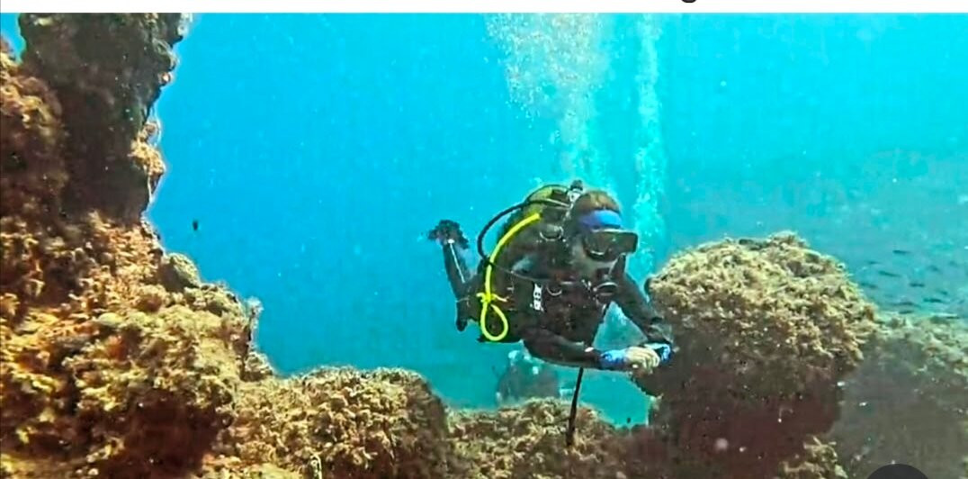 Kiwi Watersports & Dive Center-库萨达斯必去景点