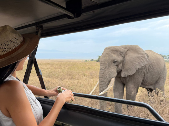 LE KOBE ADVENTURES & SAFARIS-桑给巴尔市必去景点