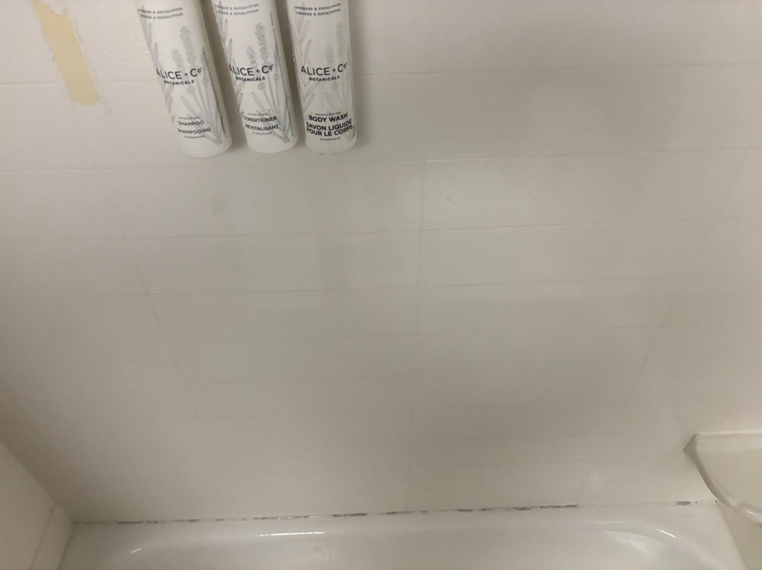 Fairfield by Marriott Inn & Suites Tyler主图