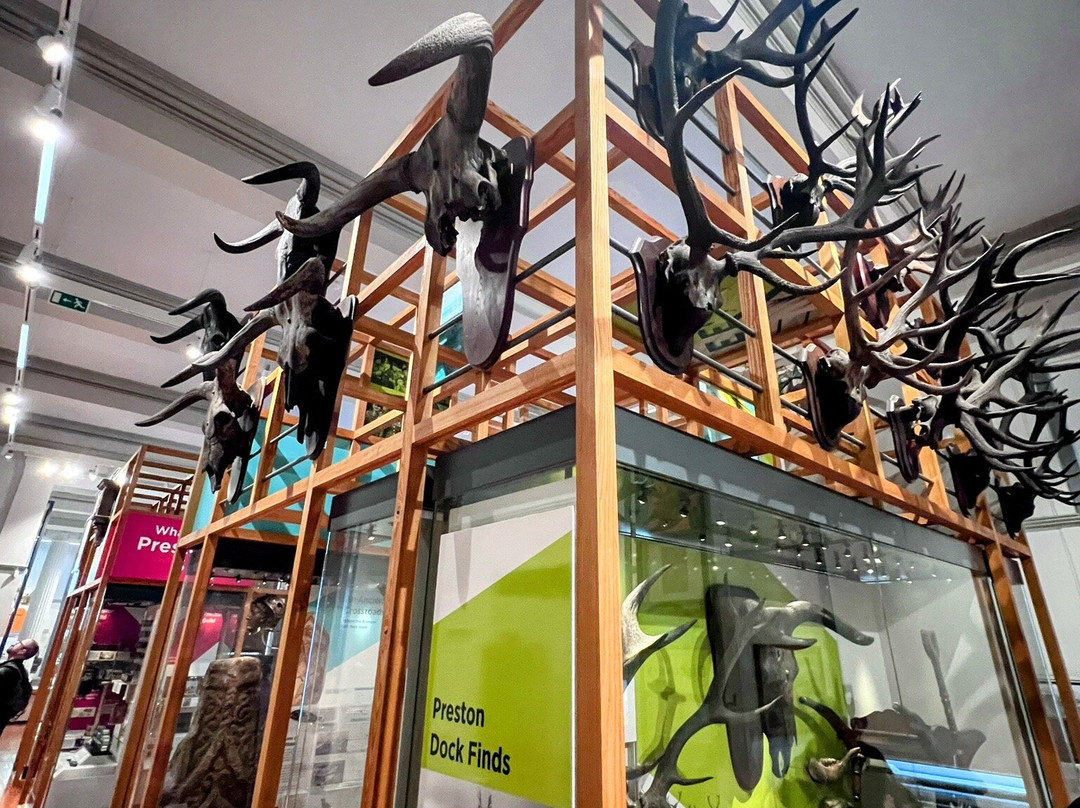 Harris Museum and Art Gallery-普雷斯顿必去景点