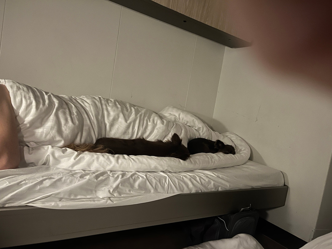 DFDS Seaways-Ijmuiden必去景点