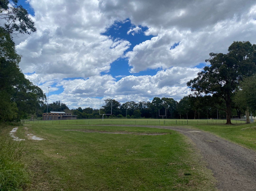 Durrant Oval Sports Field #1-Casula必去景点