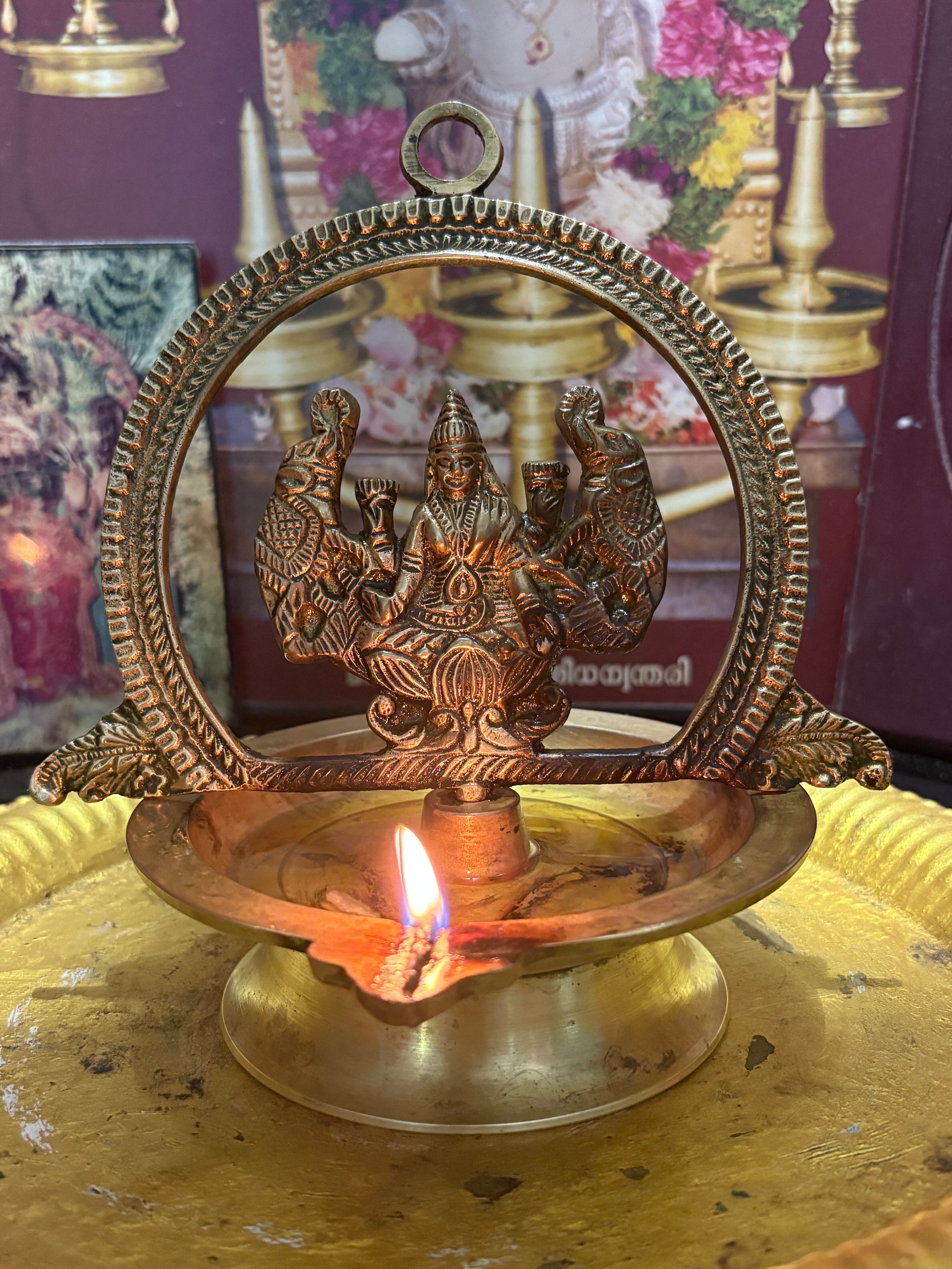 Chamundi Hill Palace Ayurvedic Resort-官方