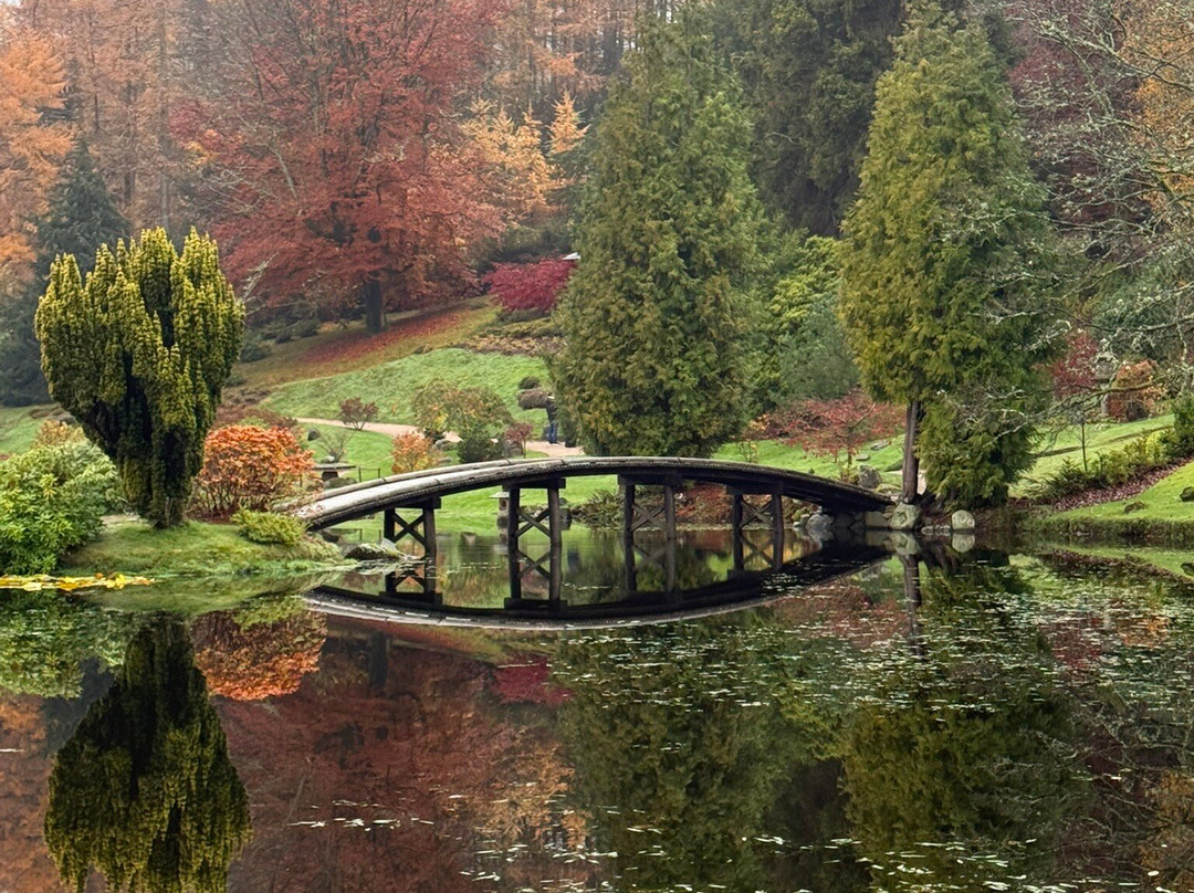 The Japanese Garden At Cowden-Dollar必去景点