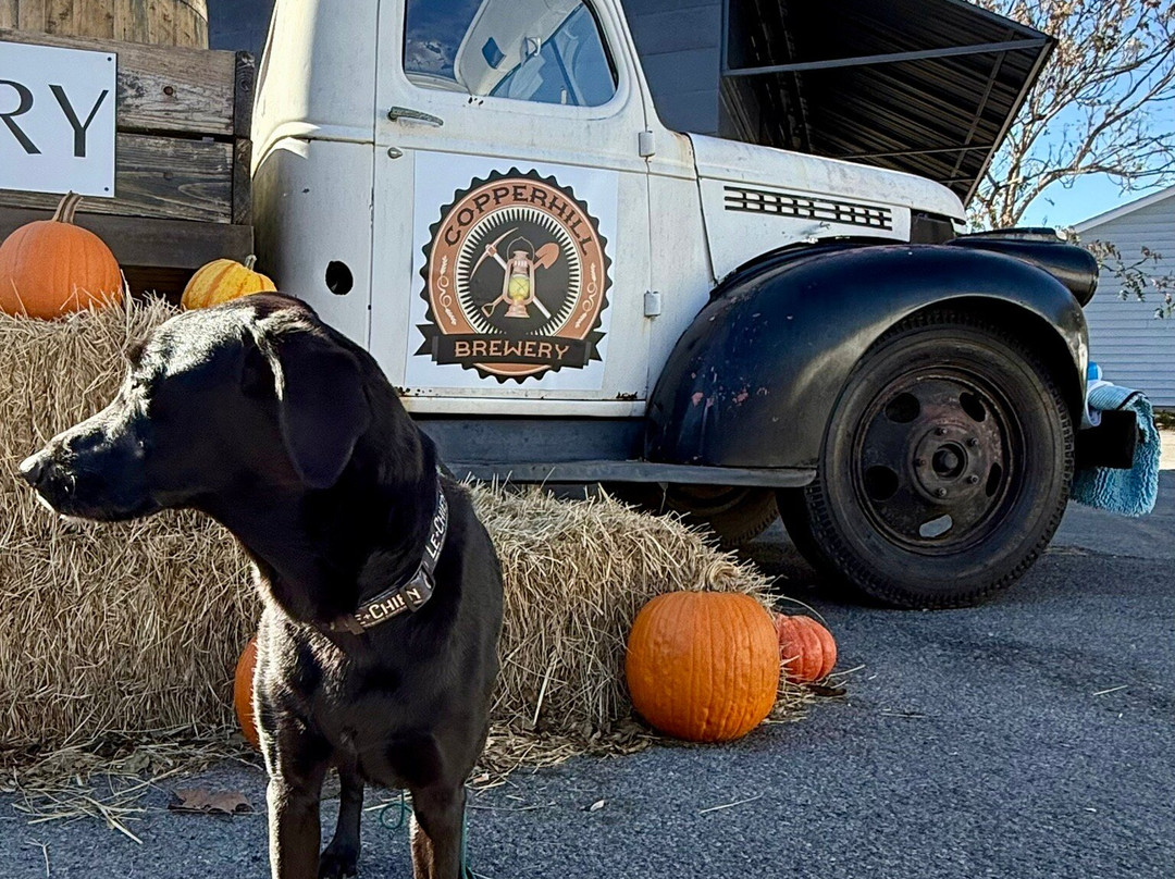 Copperhill Brewery-Copperhill必去景点