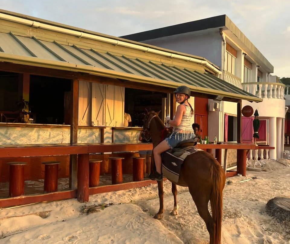 Bonanza Stables-St. George's必去景点