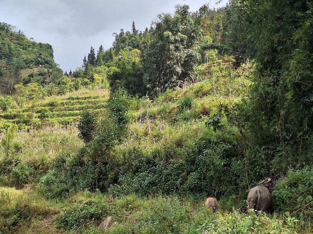 Bac Ha Trekking Tour-Bac Ha必去景点