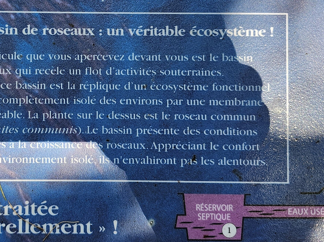 Les Marais du Nord-Stoneham-et-Tewkesbury必去景点