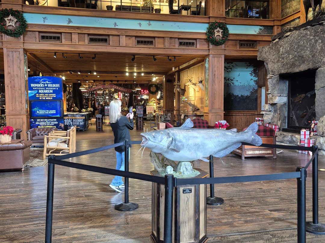 Bass Pro Shops at the Pyramid-孟菲斯必去景点