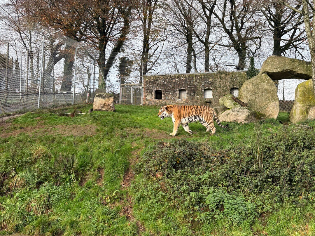 Dartmoor Zoological Society-Sparkwell必去景点