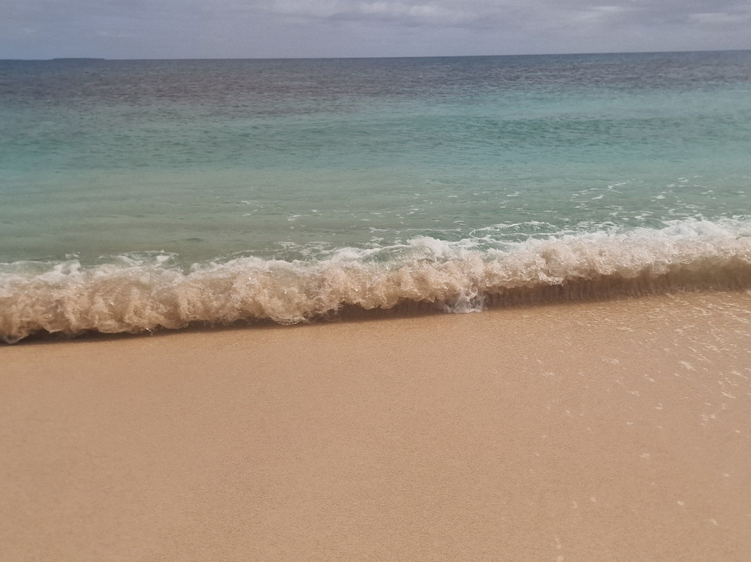 Deep Blue Diving-努库阿洛法必去景点