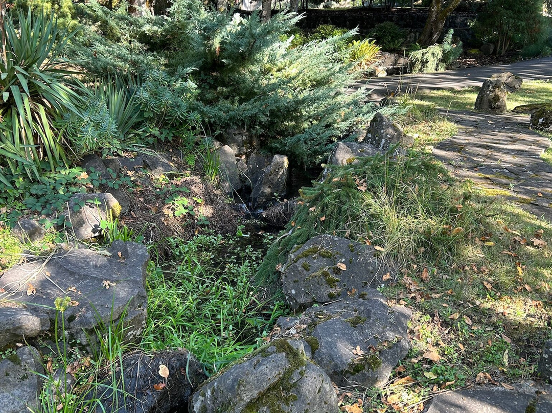 Mount Tom House主图