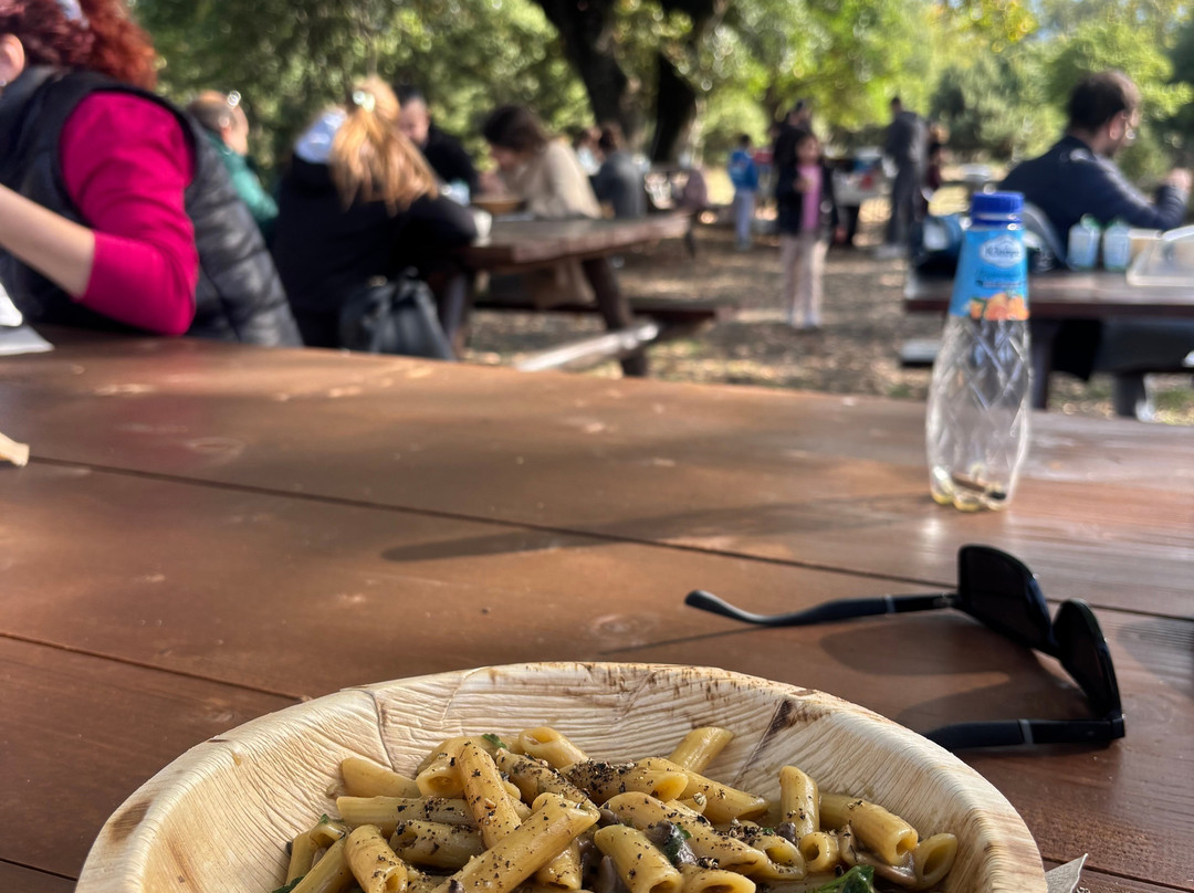 Truffle Hunting-卡兰巴卡必去景点