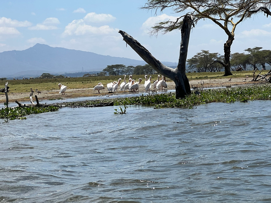 Lake Naivasha-奈瓦夏必去景点