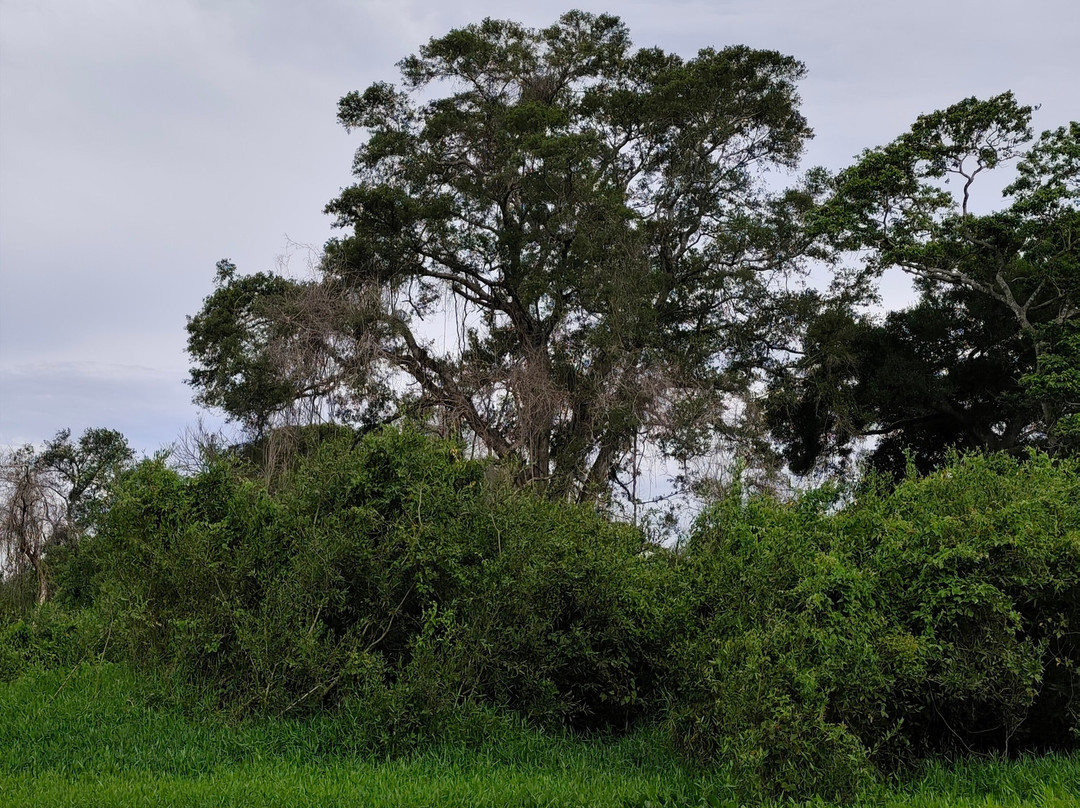 Fazenda San Francisco-米兰达必去景点