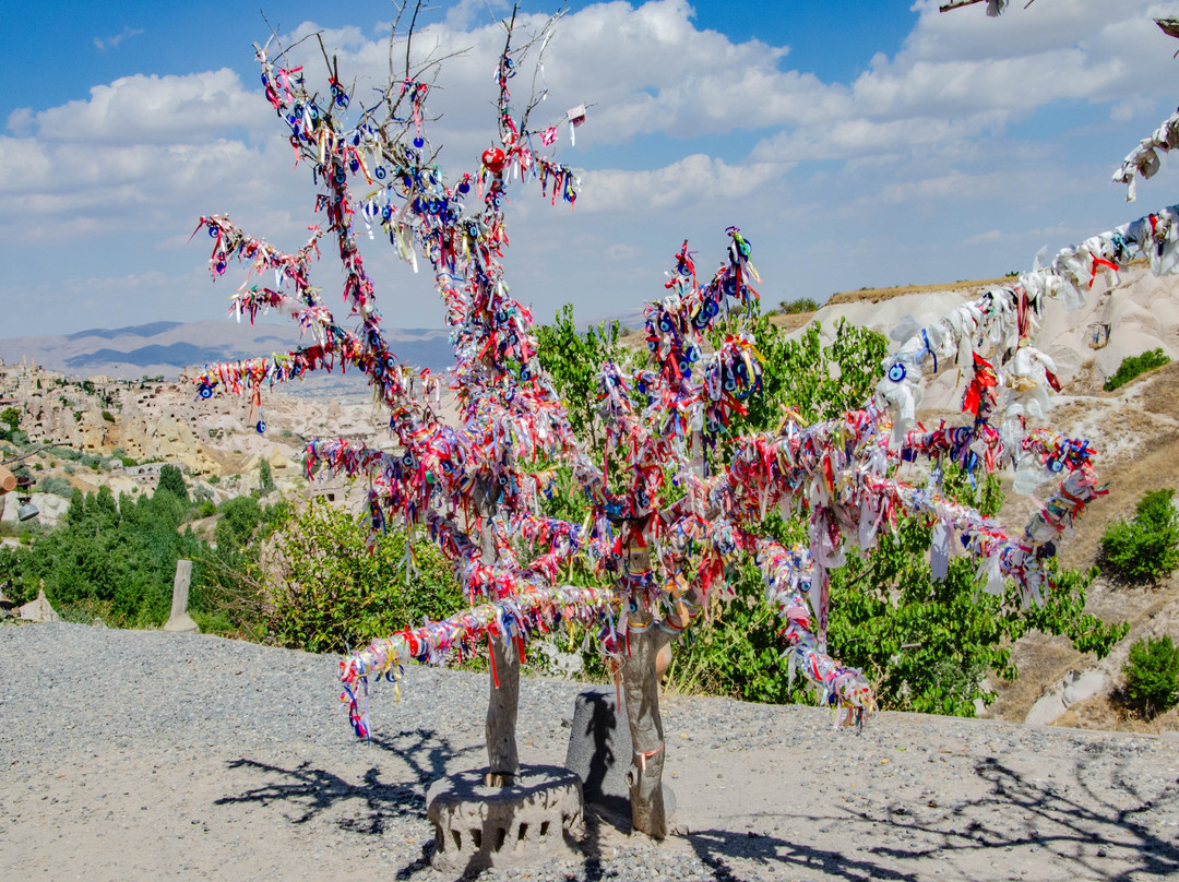 Evil Eye Tree-乌奇萨必去景点