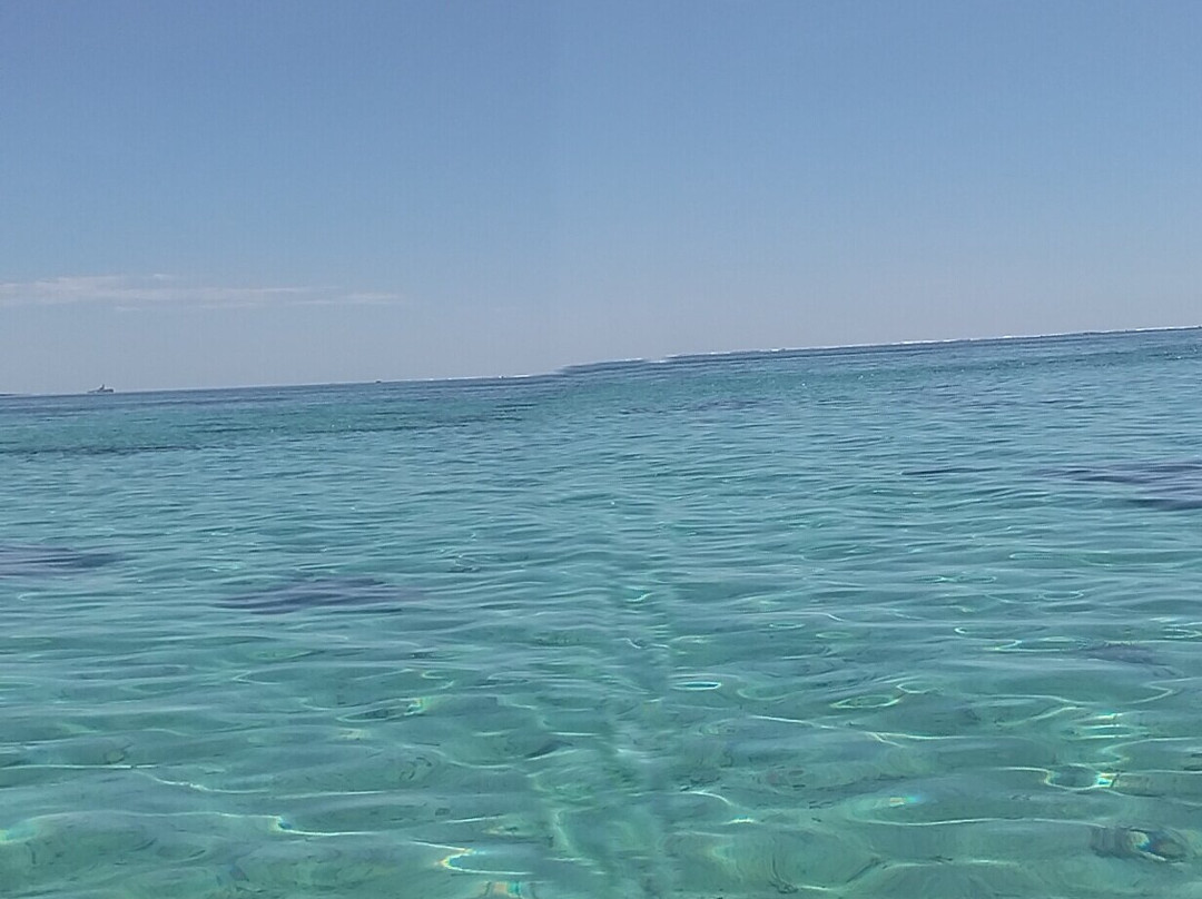 Calypso boat tours Mauritius-蓝湾必去景点