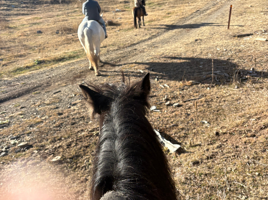 Andy's Trail Rides-Lead必去景点