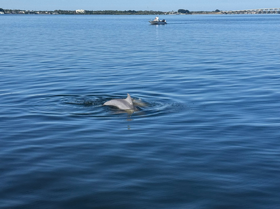 Good Natured River Tours-墨尔本必去景点
