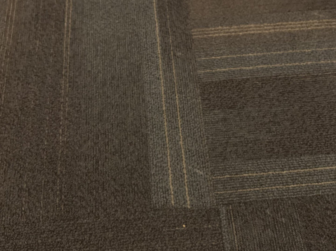 Wyndham Garden Antofagasta Pettra主图