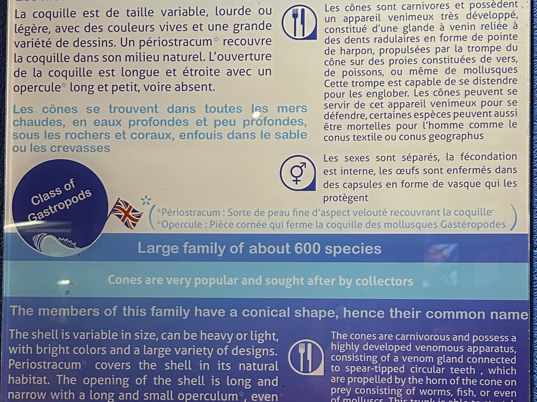 Le Musée de la Mer-Trois-Ilets必去景点