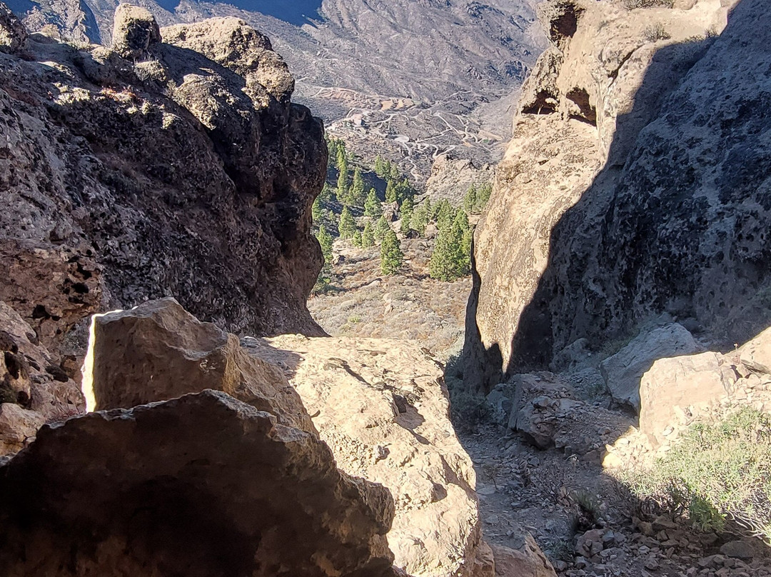 Nature canariensis-英国人海滩必去景点