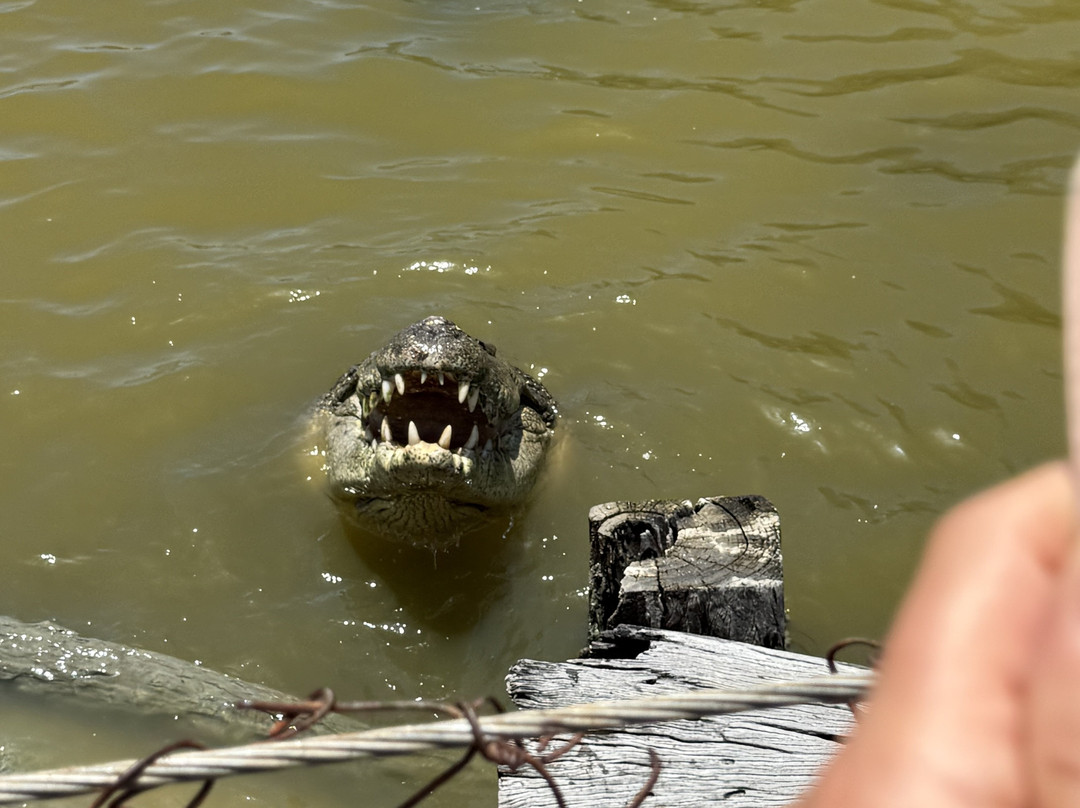Koorana Crocodile Farm-Coowonga必去景点