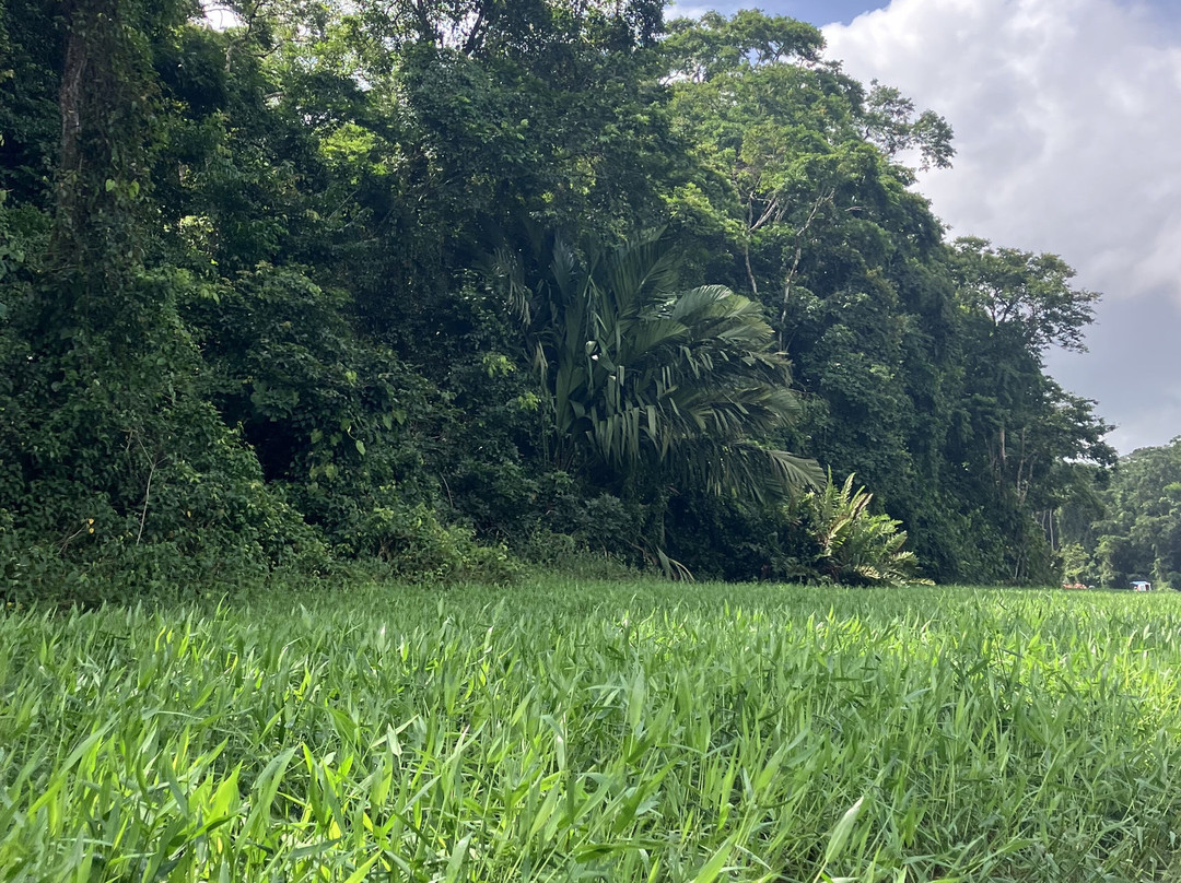 Parque Nacional Tortuguero-托图杰多必去景点