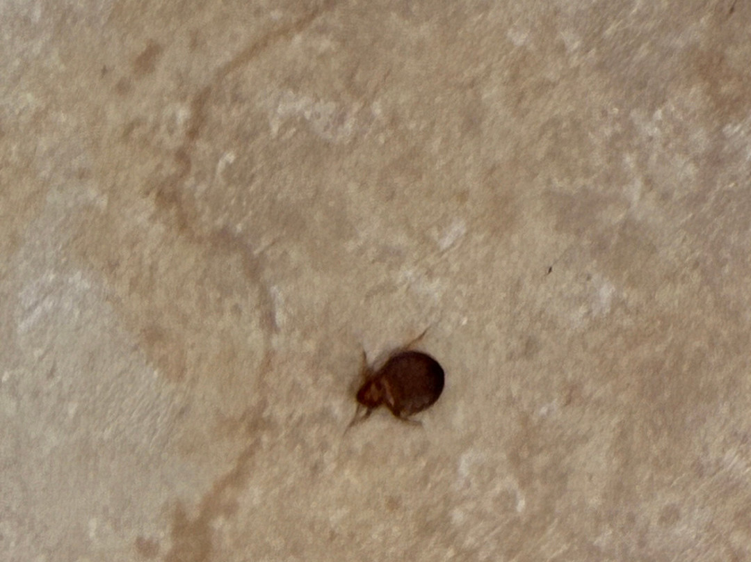 伊丽莎白城希尔顿恒庭酒店主图