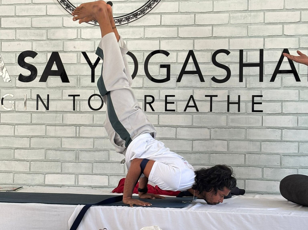 Vinyasa Yogashala-Tapovan必去景点