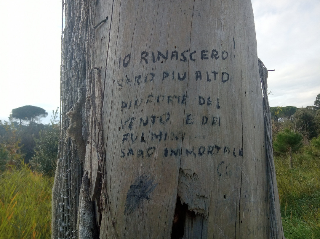 Pineta di Milano Marittima-Milano Marittima必去景点