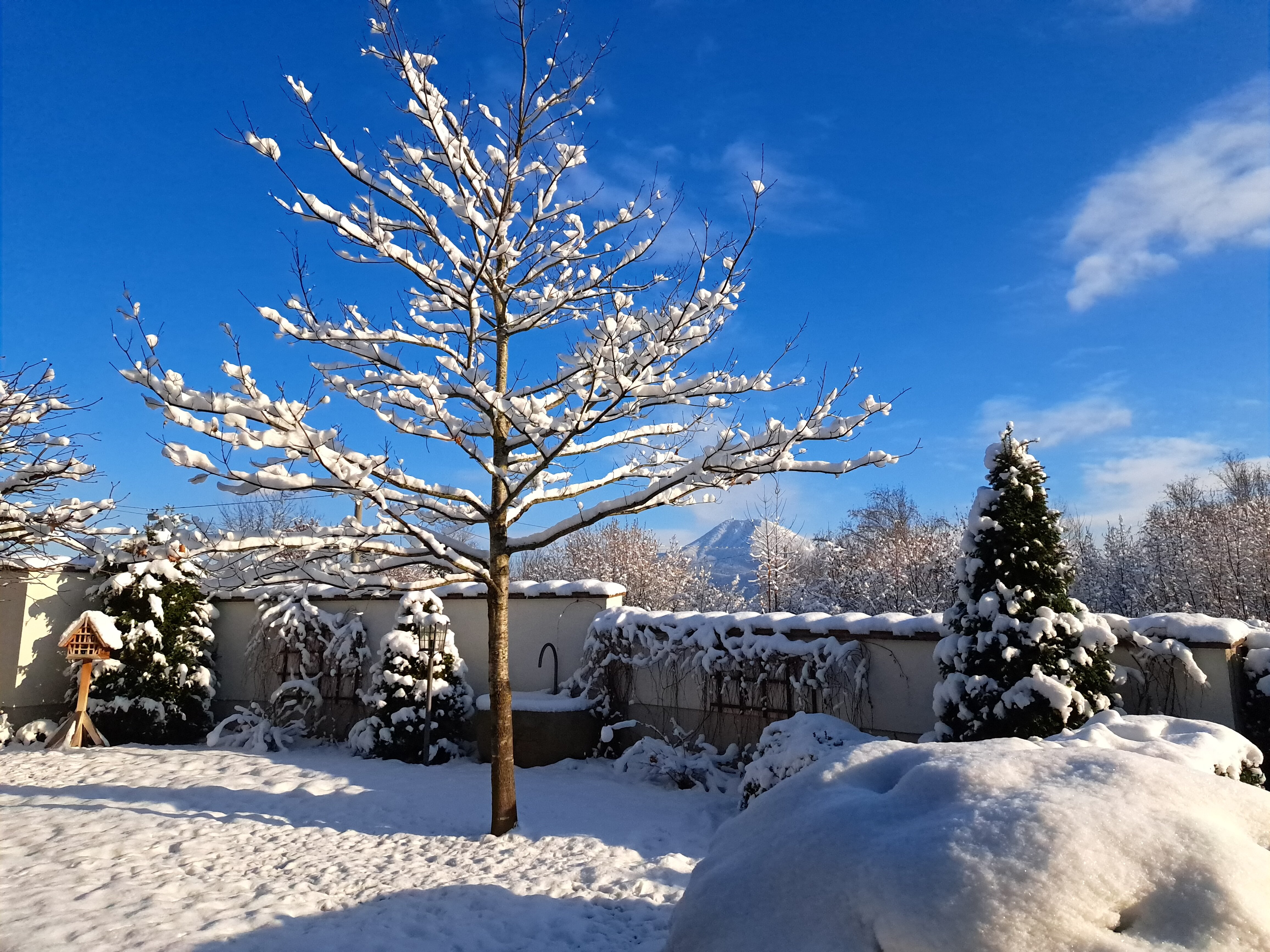 Hotel Brandstaetter-浴室