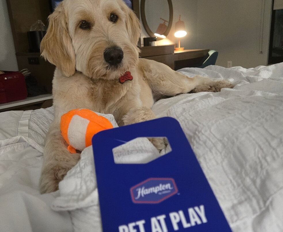 Hampton Inn Christiansburg/blacksburg主图