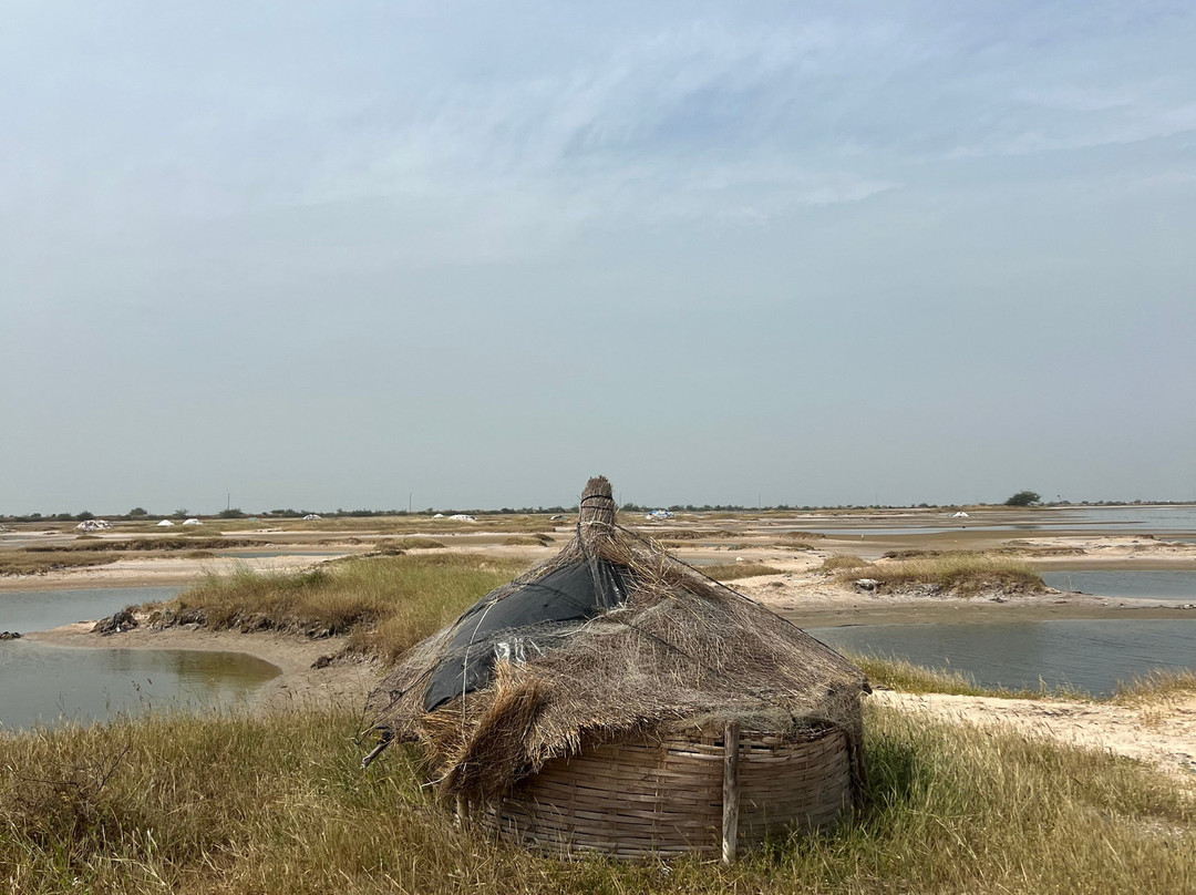 Max Sakho Chauffeur Guide-Saly必去景点