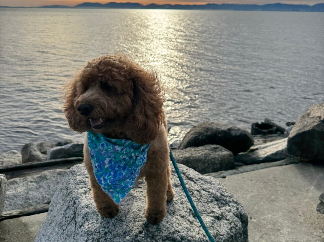 Roberts Creek Pier-Roberts Creek必去景点
