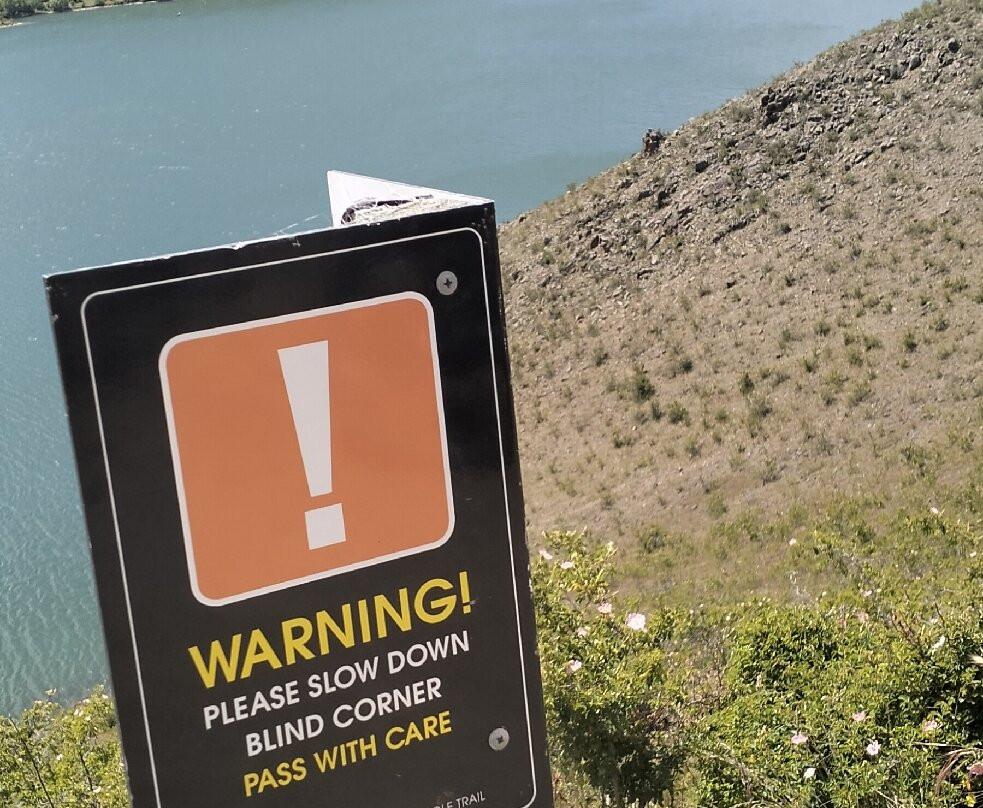 Cycle Journeys Twizel-特威泽尔必去景点