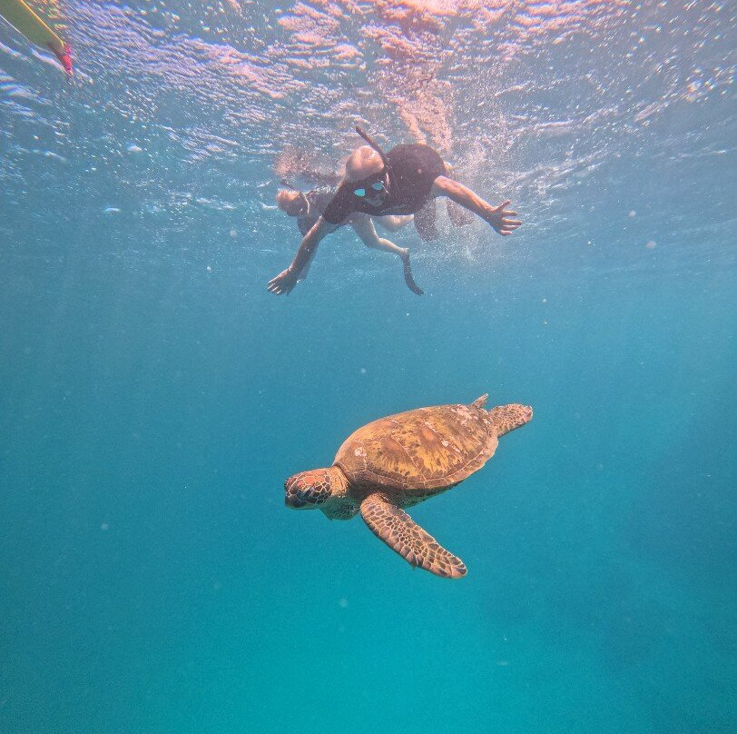 Sea Pace Rarotonga-堤堤卡维加必去景点