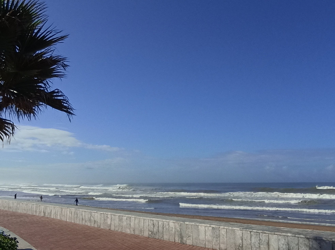 Agadir Fishing Port-阿加迪尔必去景点