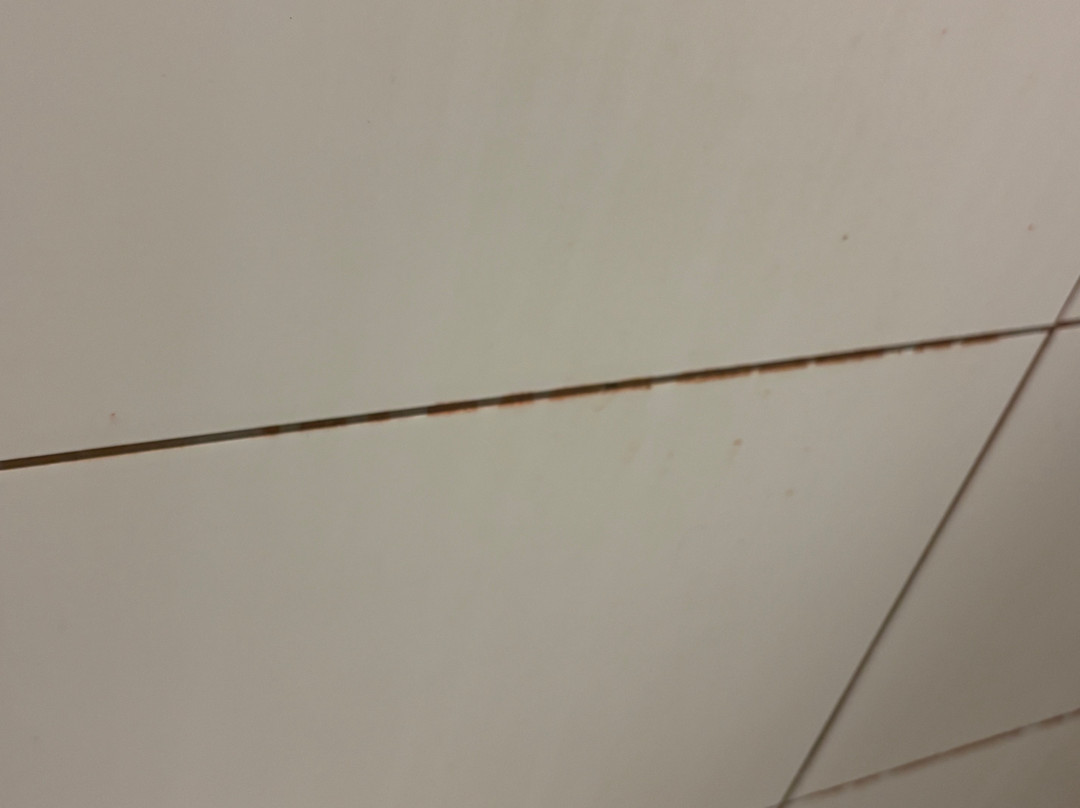 Ramada Bristol M5主图