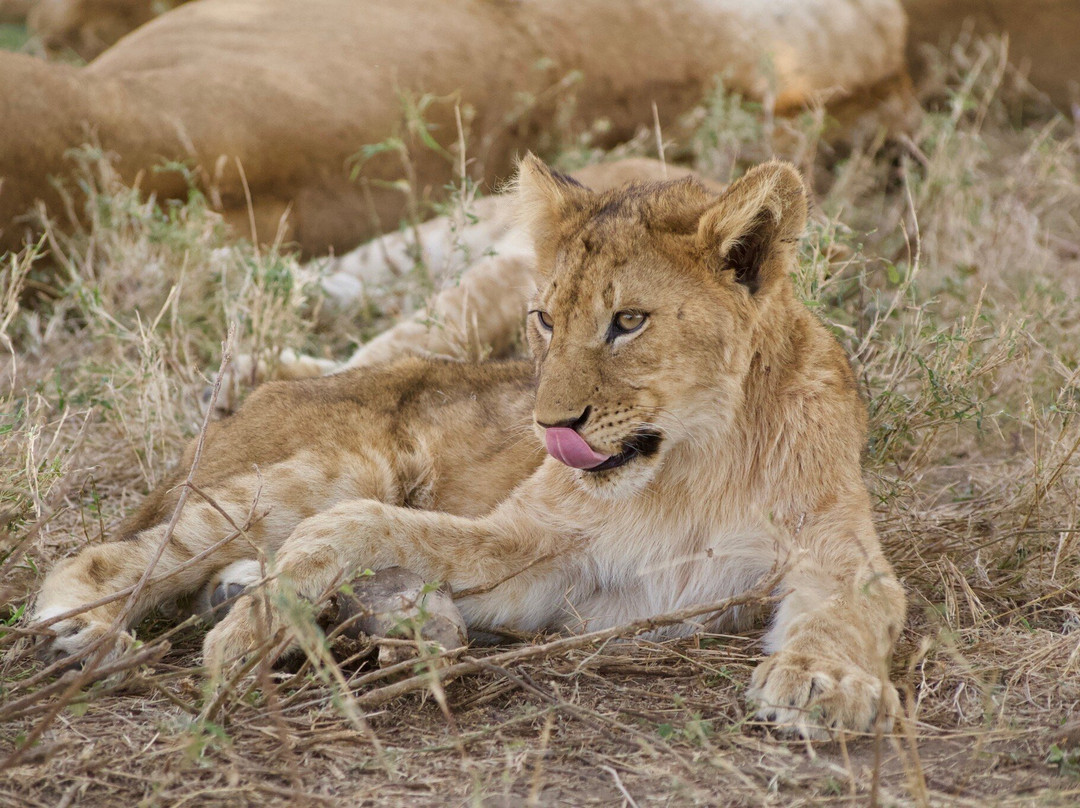 Lune Adventure Ltd-莫西必去景点