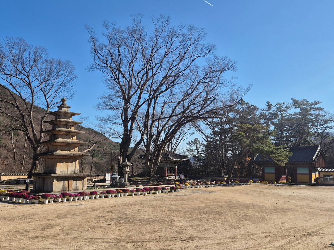 Muryangsa-扶余郡必去景点