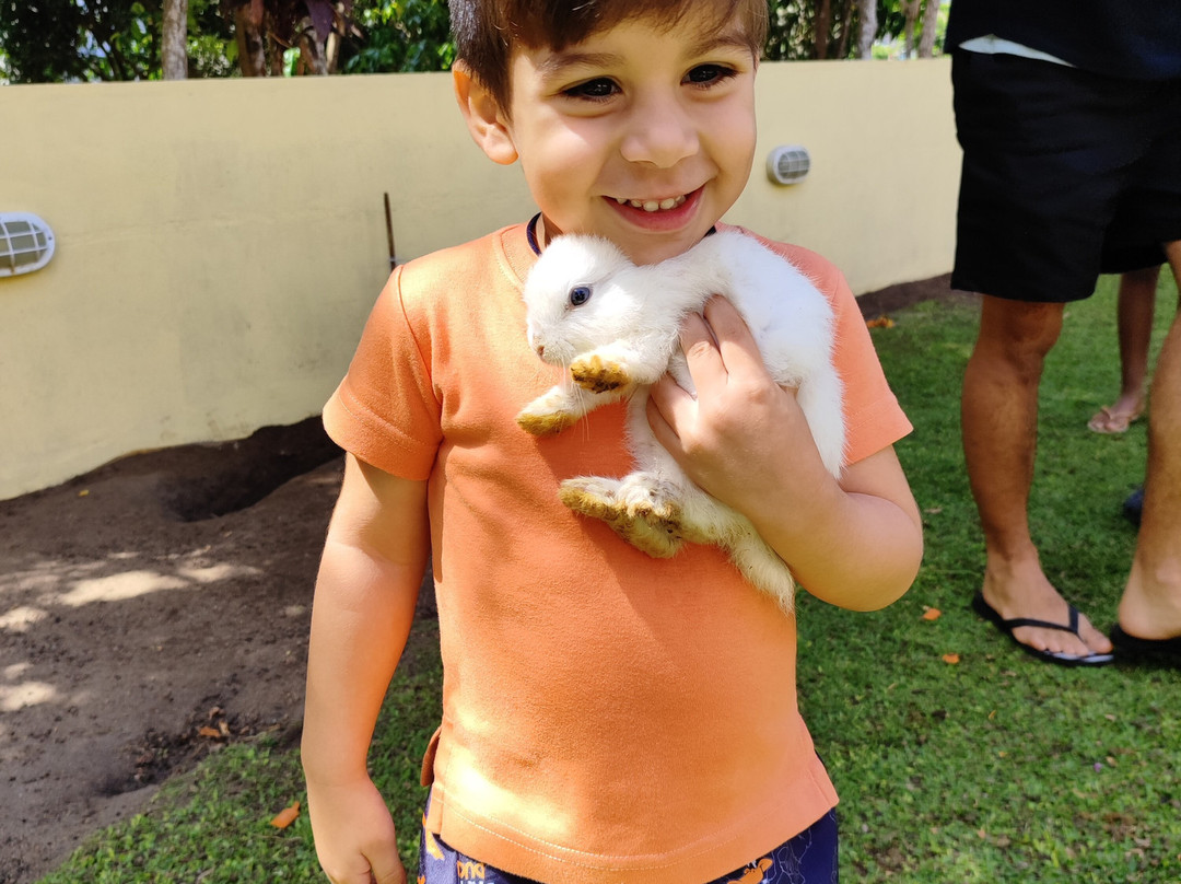 Hotel Sesc Garanhuns主图