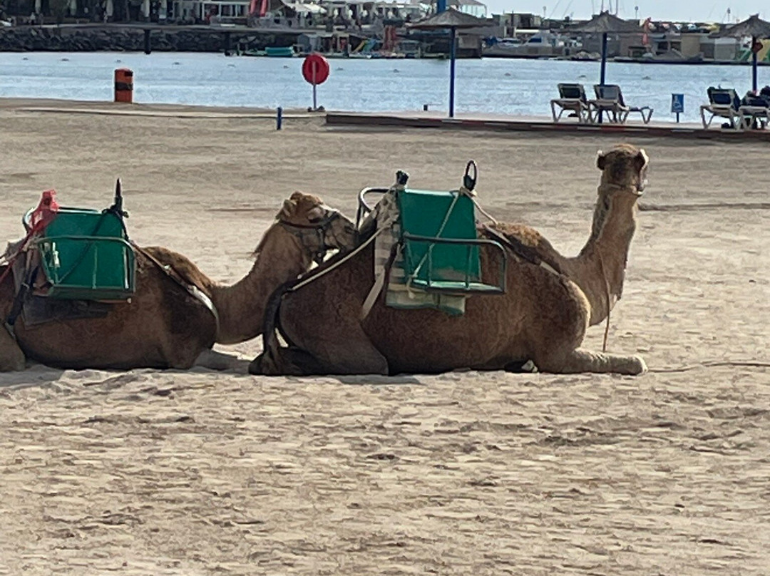 Caletta De Fuste Beach-Caleta de Fuste必去景点