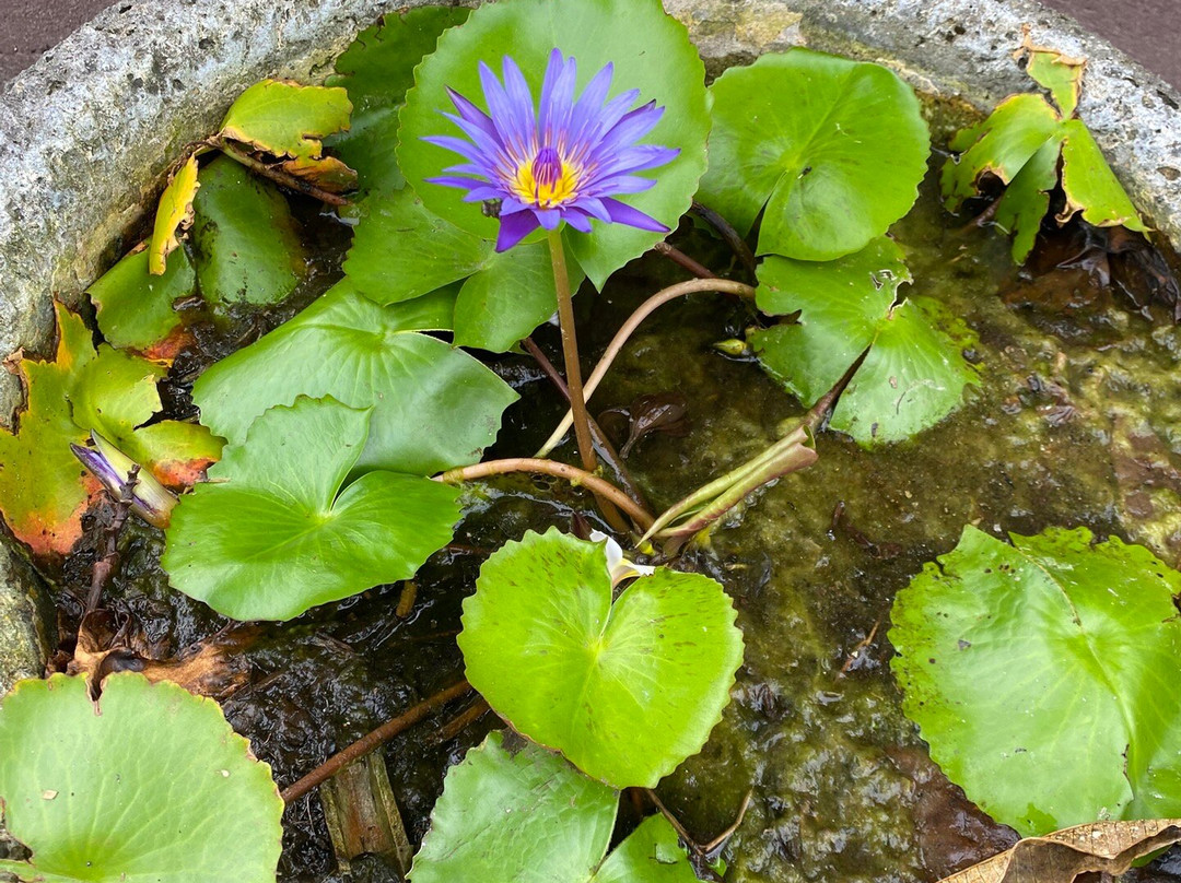 普瑞雷酒店主图