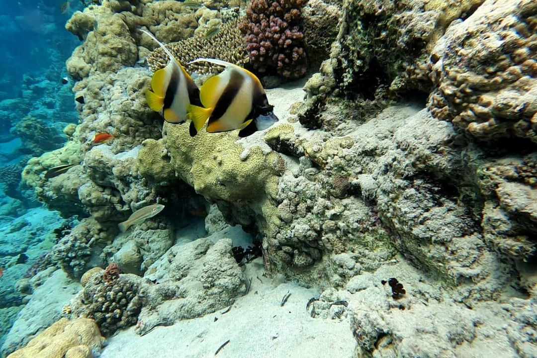 Bibo Viaggi-沙姆沙伊赫必去景点