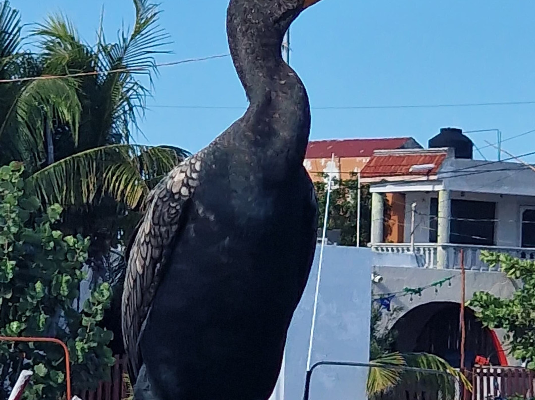 Guia Naturalista William Canto-里奥拉加托斯必去景点