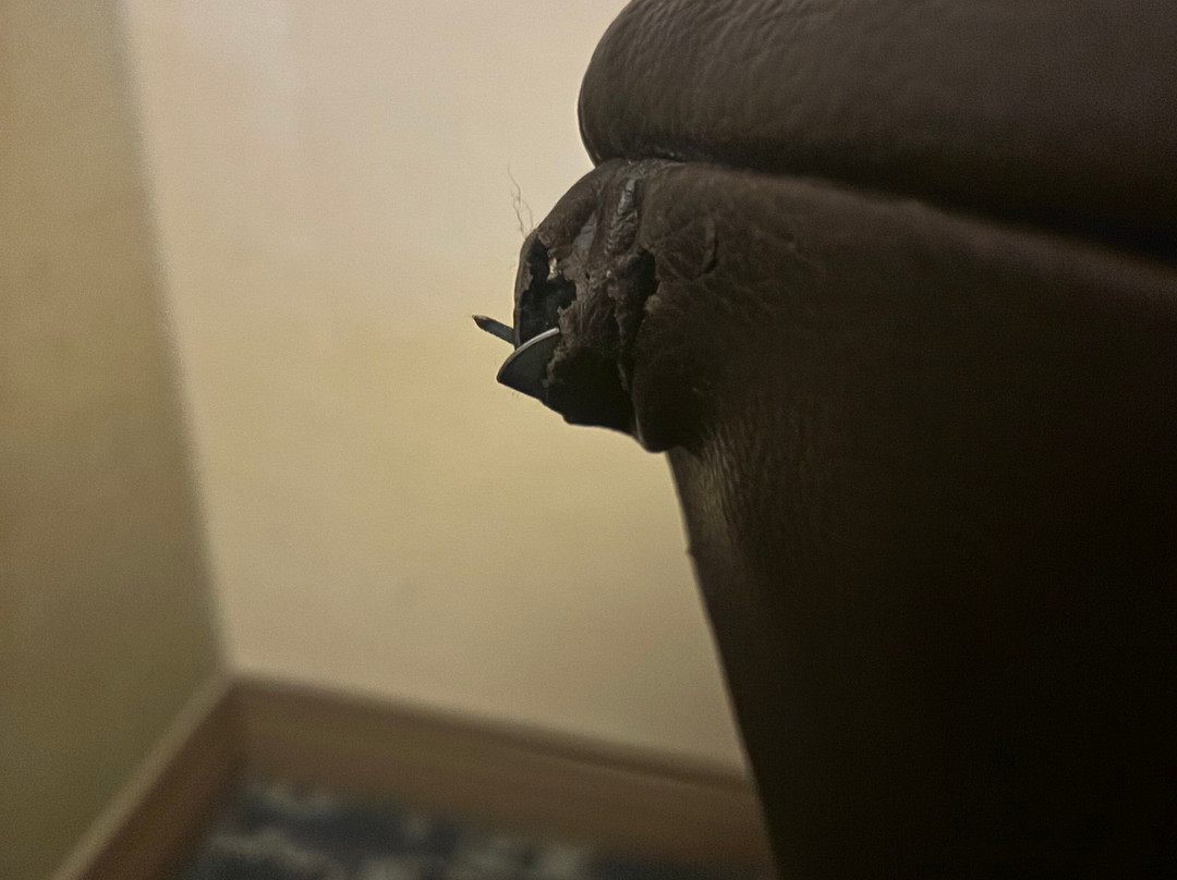 波士顿北岸希尔顿逸林酒店主图