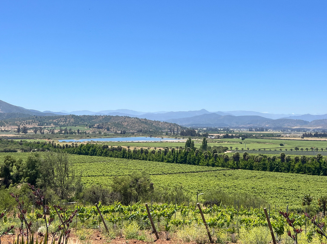 Kingston Family Vineyards-卡萨布兰卡必去景点