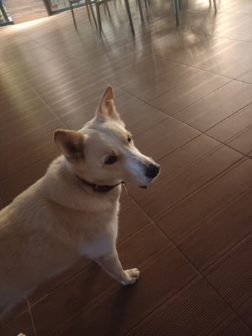 Mary Hotel Alanya-官方