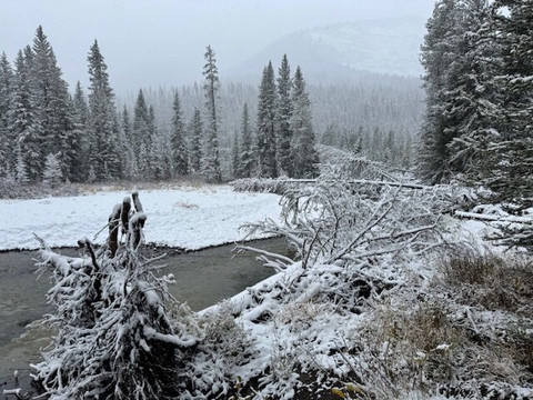 Yellowstone Adventure Tours-西黄石镇必去景点
